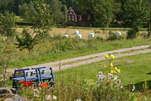 Camping Zweden: omgeving